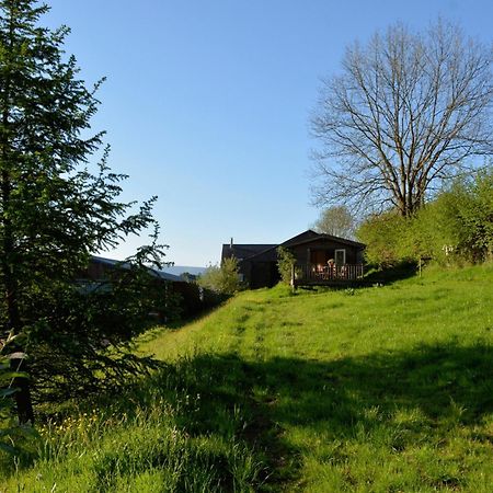 Log Cabin Villa Brecon Exterior photo