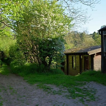 Log Cabin Villa Brecon Exterior photo