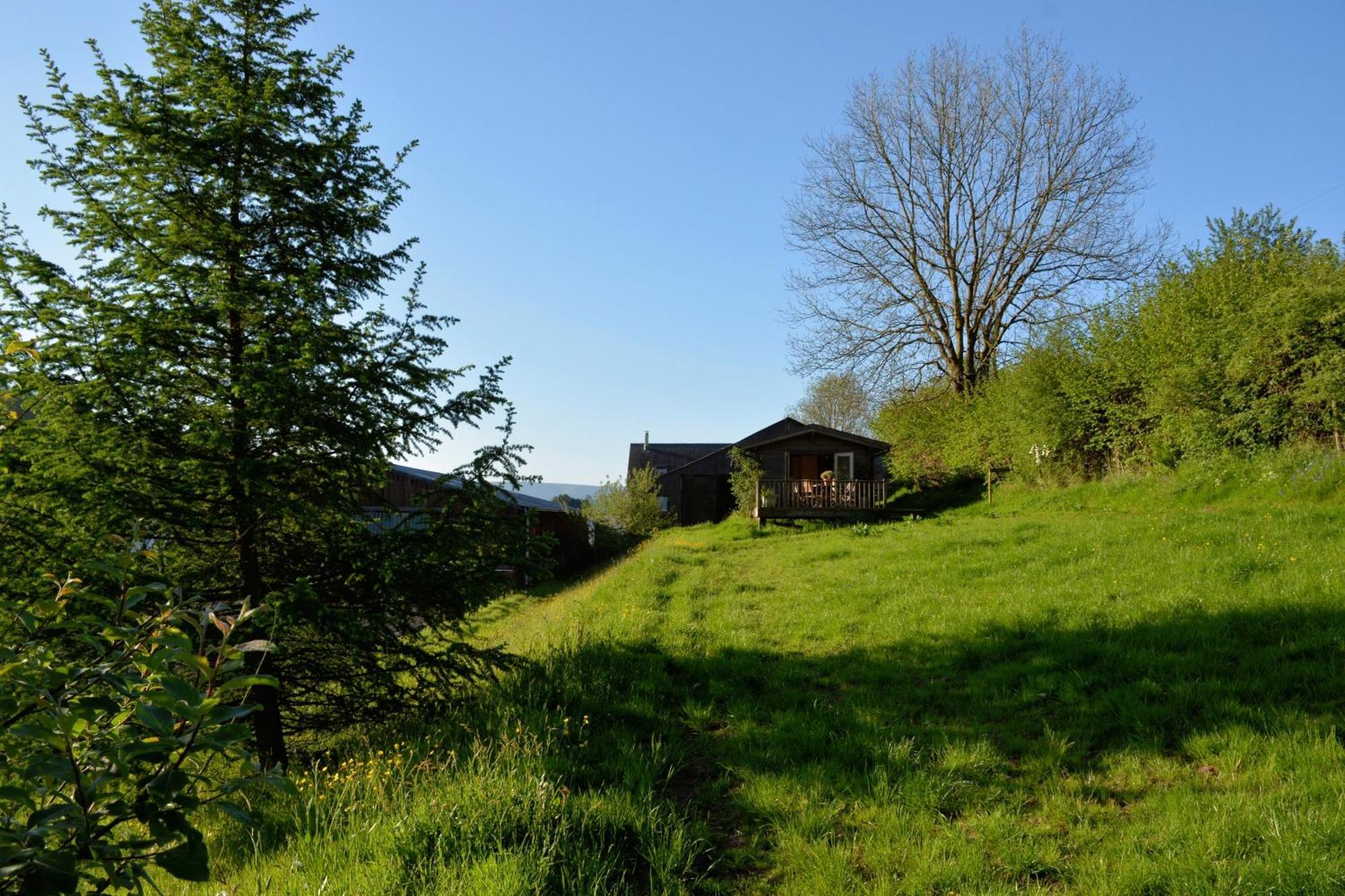 Log Cabin Villa Brecon Exterior photo