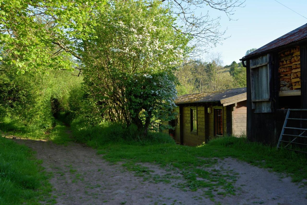 Log Cabin Villa Brecon Exterior photo